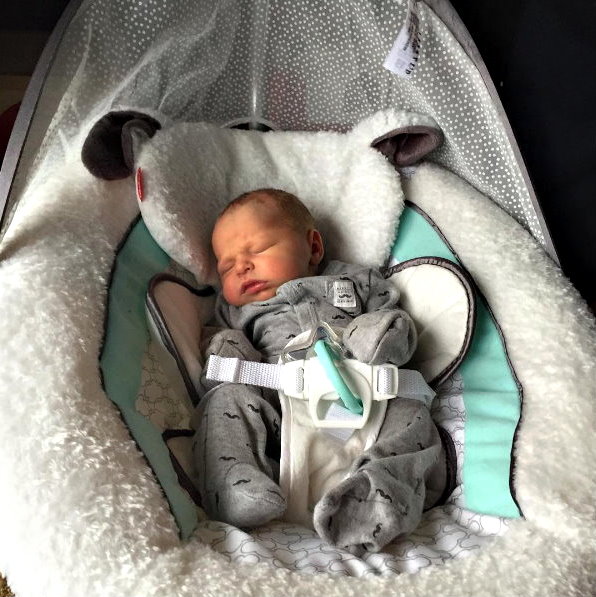 Прокат детских качелей | Детские качели напрокат | качели Fisher Price ...